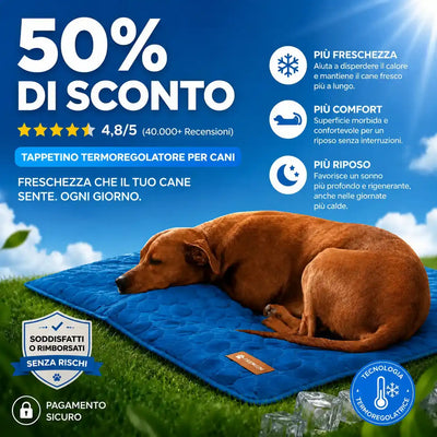 FrescoRiposo - Più Freschezza e Riposo per il tuo Bulldog