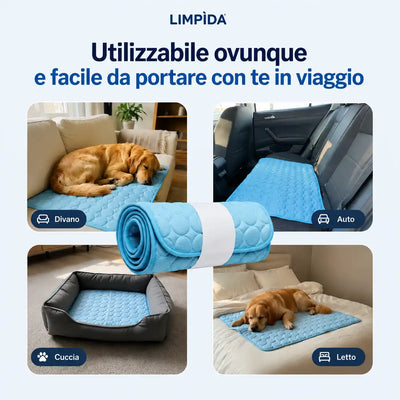 FrescoRiposo - Più Freschezza e Riposo per il tuo Cane