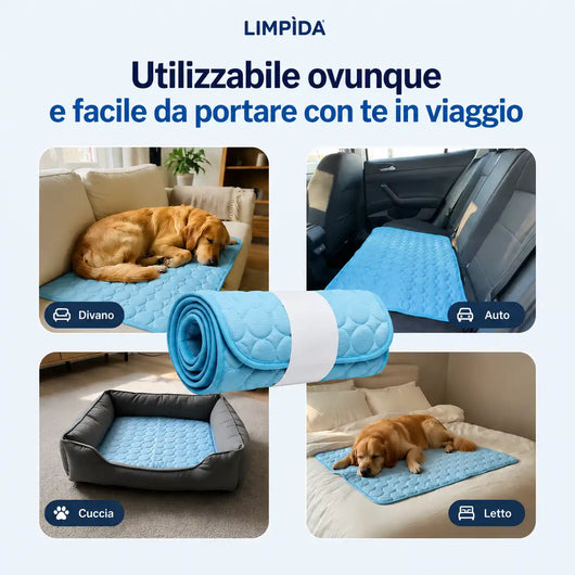 FrescoRiposo - Più Freschezza e Riposo per il tuo Cane