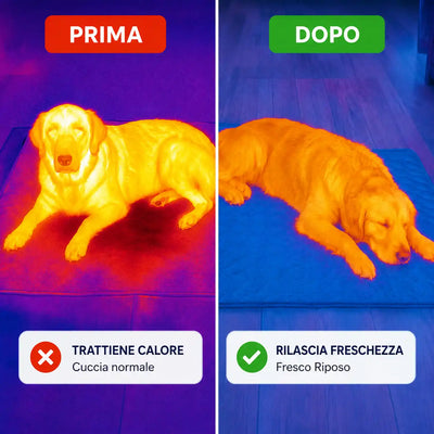 FrescoRiposo - Più Freschezza e Riposo per il tuo Cane