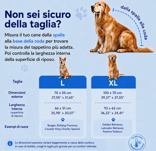 FrescoRiposo - Più Freschezza e Riposo per il tuo Bulldog