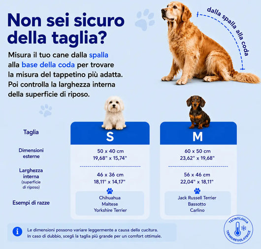 FrescoRiposo - Più Freschezza e Riposo per il tuo Bulldog